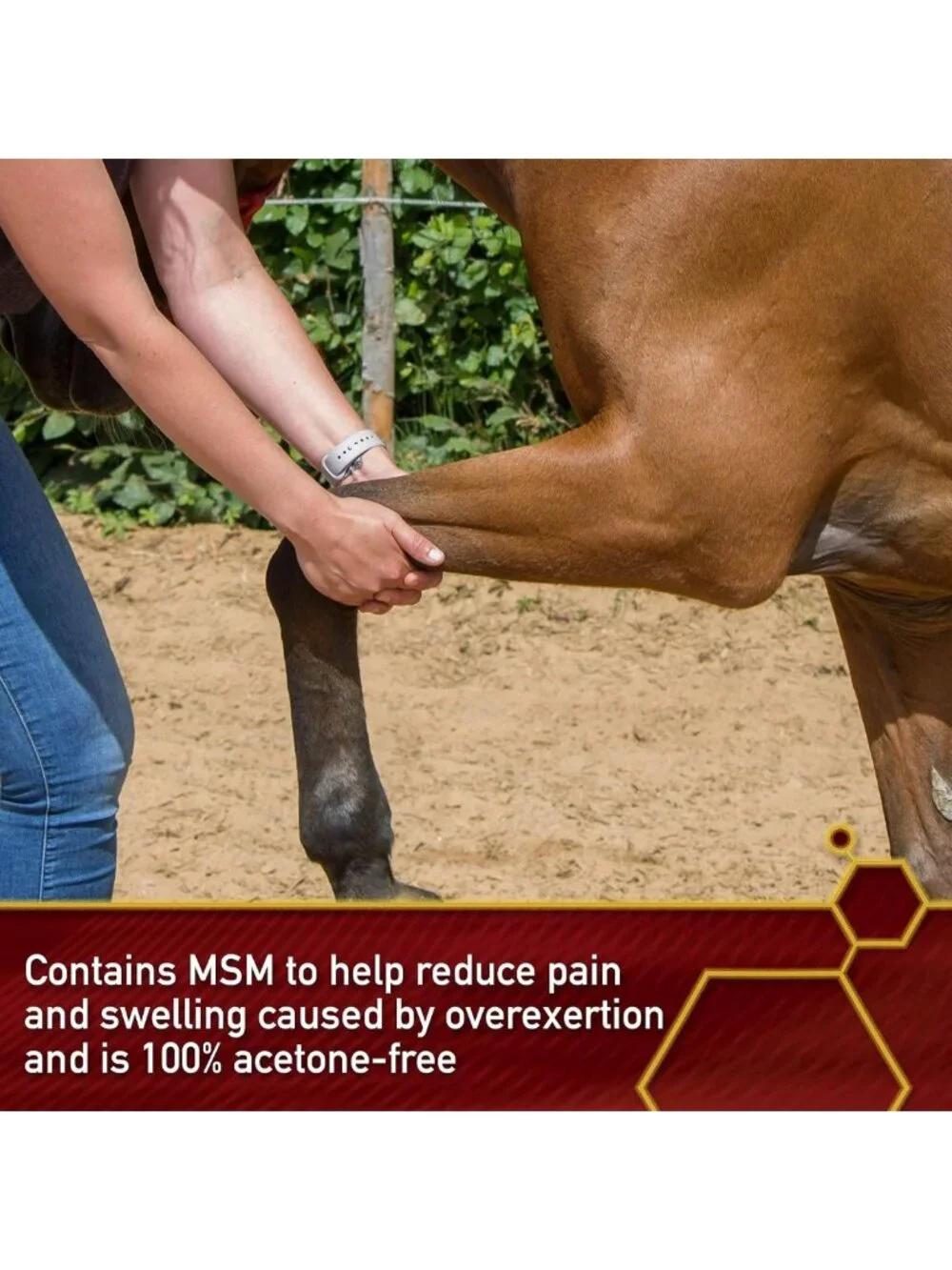 Sore Muscle & Joint Relief Gel for Horses - Thermaflex Liniment, 12 Oz.
